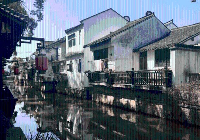 小长颈鹿逃离